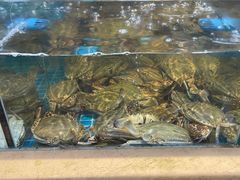 -妈妈菜舟山海鲜(定海古城店)