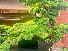 -许爷家·生态湖鲜(徐汇日月光店)