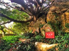-宋井风景区