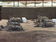 -秦始皇帝陵博物院-丽山园