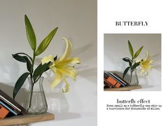 -PlantsEatery·植物食堂(REX春熙店)