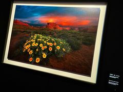 -罗红摄影艺术馆