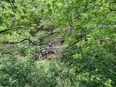 -杭州半山国家森林公园