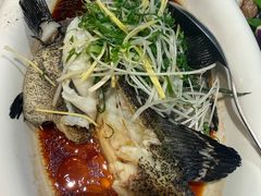-椿记烧鹅(叠彩店)