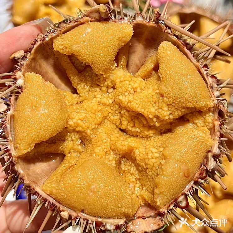 🌟大连美食探秘|错过这些，别说你懂大连！