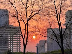 -重庆中央公园(渝北区)