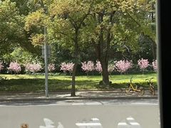 -台鄉缘 ·小海鲜·台州菜(桃林路店)