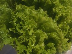 -喜虾客大虾火锅(济宁龙贵购物广场店)