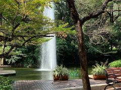 -九龙公园