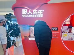 -野人先生现做冰淇淋(北京王府井东方新天地店)