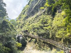 -雁荡山风景名胜区