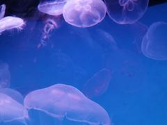 -沈阳海洋探索中心