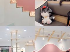 -喵园·猫主题咖啡厅·撸猫·猫咖(国贸店)