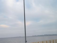 -宁波杭州湾国家湿地公园