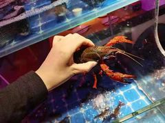 -二钳洞庭虾蟹·江湖菜(成都鹭岛店)