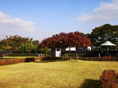 -新罗免税店(首尔总店)