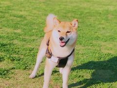 -钟山体育运动公园