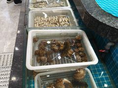 -渔码头食府(蓬莱阁店)