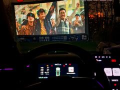 -枫花园汽车电影院(朝阳公园店)