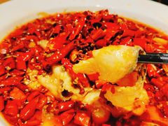 -川堂风·跷脚牛肉·乐山爆炒(宝山日月光店)