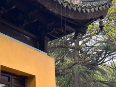 -西园戒幢律寺