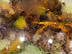 -渔夫蒸鲜(世奥湾店)
