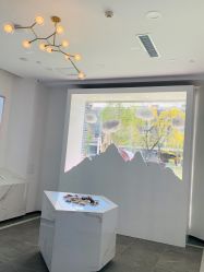 -采之汲·云南白药集团