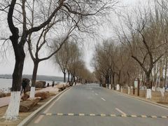 -丁香湖公园