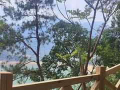 -广州市流溪河国家森林公园