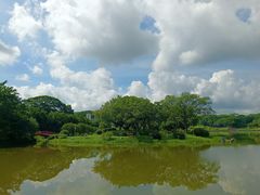 -东莞植物园
