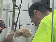 -唐小姐の猫狗洗护·购宠旗舰店(周浦万达店)