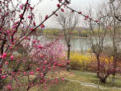 -河北省园博园