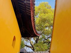 -西园寺