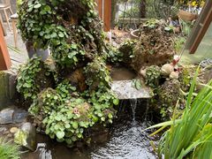 -谷咖啡·鲜花绿植花园餐厅