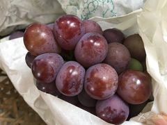 -马陆小张葡萄园农家乐