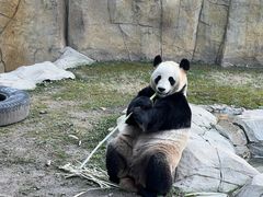 -上海野生动物园