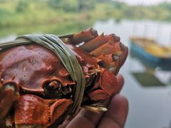 -乡乐园蟹庄·阳澄湖农家乐