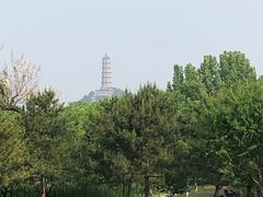 -北坞公园