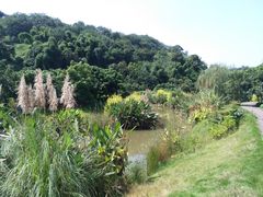 -张坝桂圆林公园