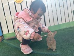 -萌宠亲子动物乐园(槐房万达店)