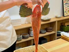 -镹·鱼料理  国产鱼使用店