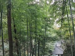 -藏龙百瀑风景区