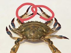 -妈妈菜舟山海鲜(定海古城店)