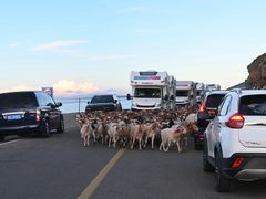 -青海湖国家重点风景名胜区