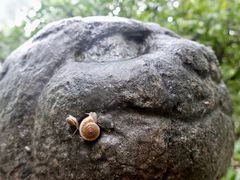 -司马温公祠