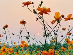 -杭州植物园