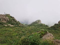 -白草畔自然风景区