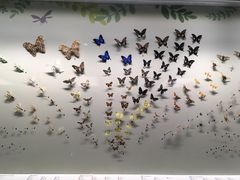 -香港科学馆