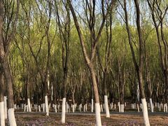 -东郊湿地公园