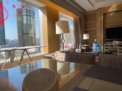 -巍阁高端月子会所